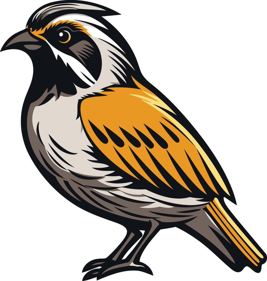 Illustration of a Yellow-Breasted Bird vector