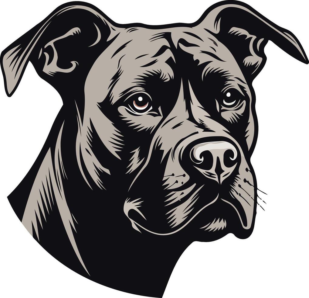 Close-up Portrait of a Pit Bull vector