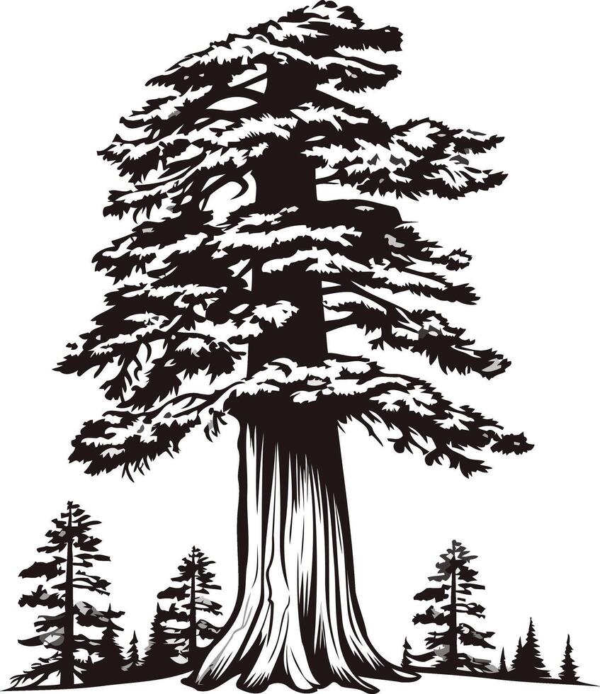 Silhouette of a Majestic Redwood vector