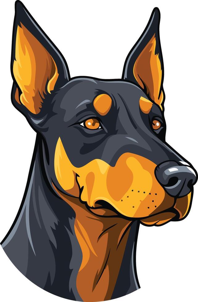 Doberman Pinscher Portrait vector
