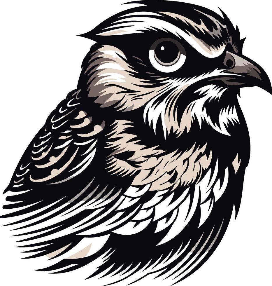 Black and White Illustration of a Bird of Prey vector