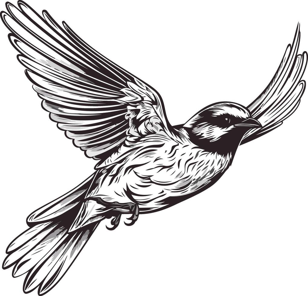 Black and White Drawing of a Flying Bird vector