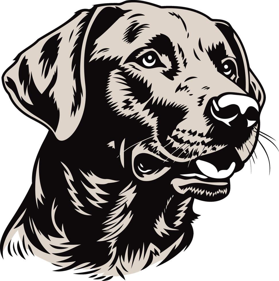 Labrador Retriever Portrait Illustration vector