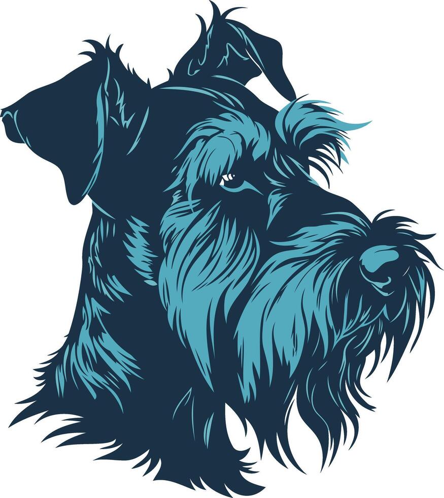 A Close Up Portrait of a Black and Blue Schnauzer vector