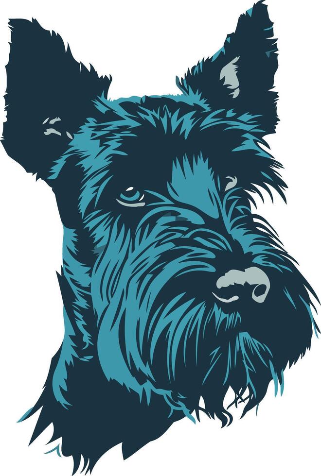 Blue-Toned Illustration of a Scottish Terrier vector