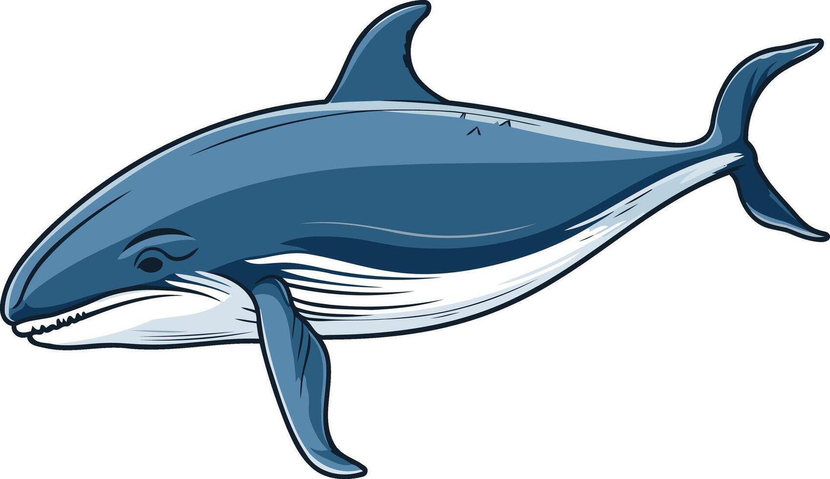Cartoon Illustration of a Blue Whale vector