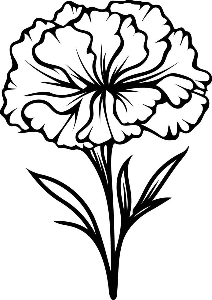 Simple black and white line art illustration of a carnation flower vector