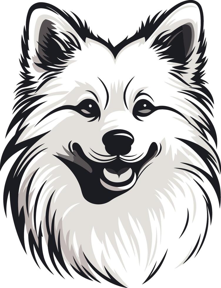 Cute Pomeranian Dog Portrait vector