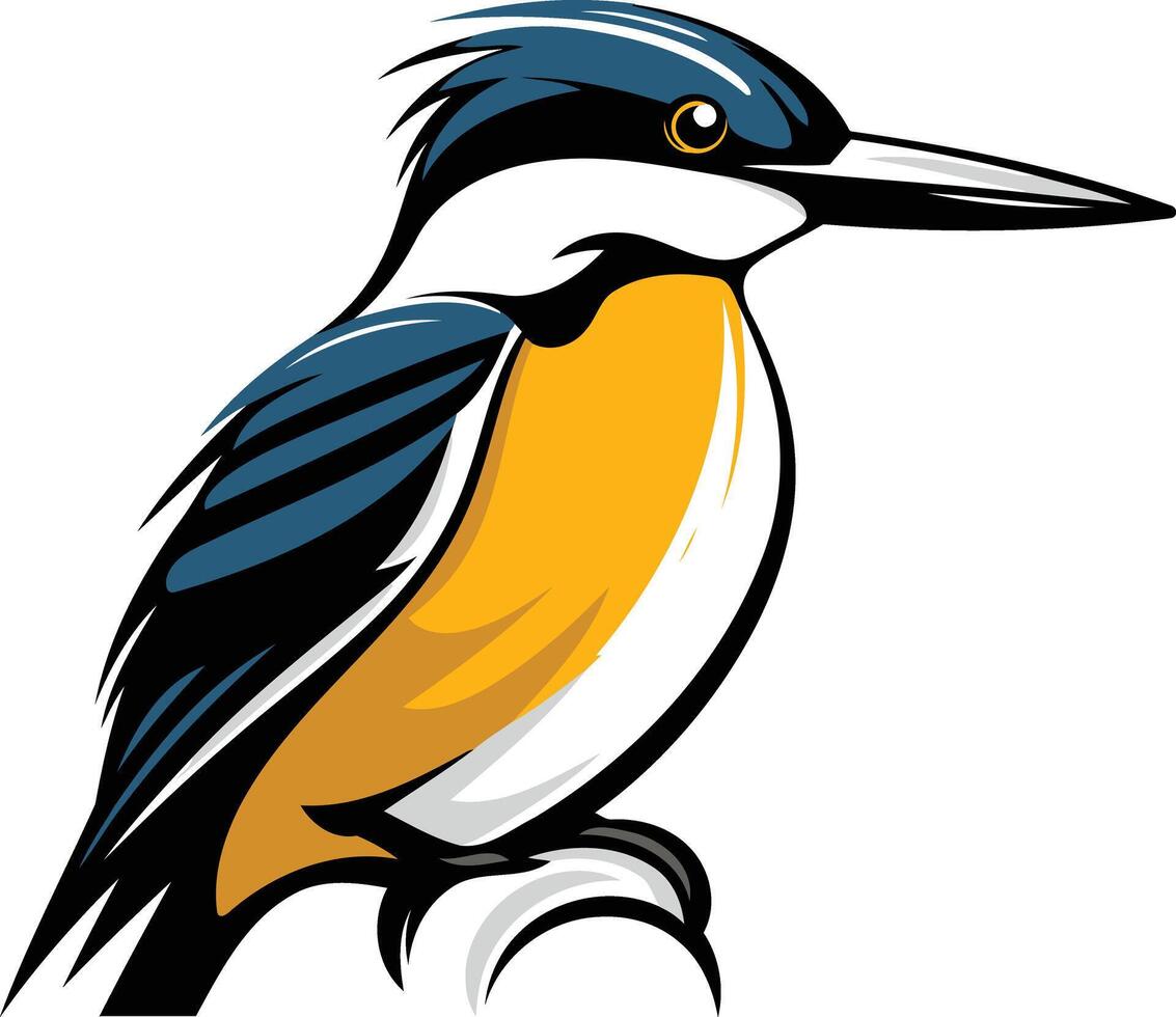 Kingfisher Bird Illustration vector