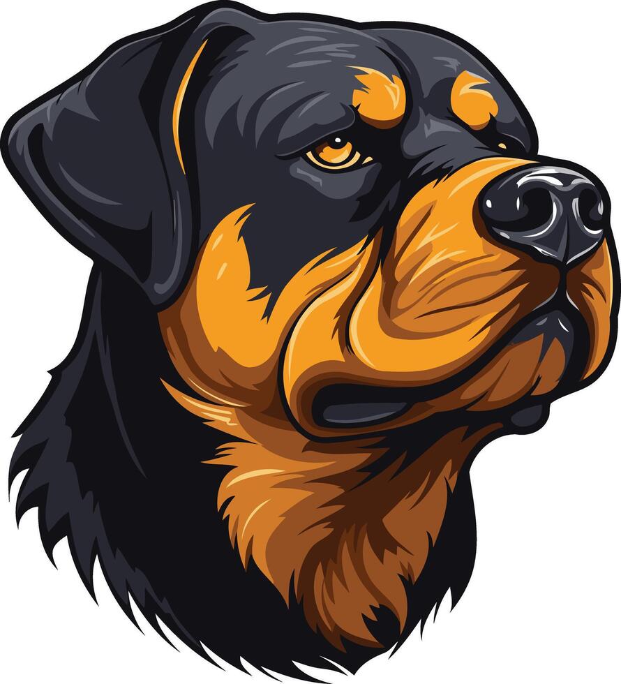 Rottweiler Dog Portrait with a Serious Expression vector