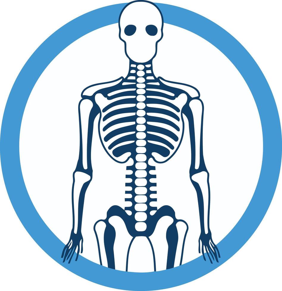 Skeleton Icon in Blue Circle vector
