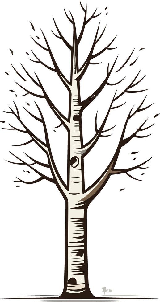 Bare Branches Against a White Background vector