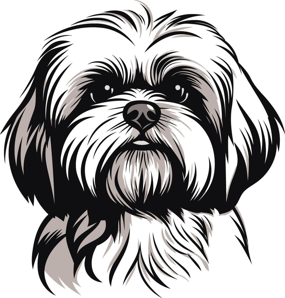 Portrait of a Shih Tzu Dog vector