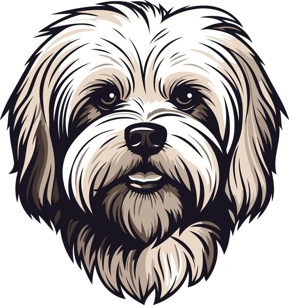Adorable Shih Tzu Puppy with Big, Brown Eyes vector