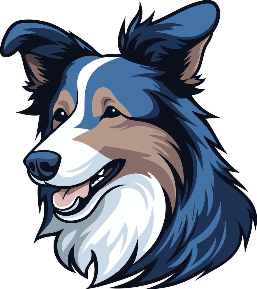 Charming Border Collie Portrait vector