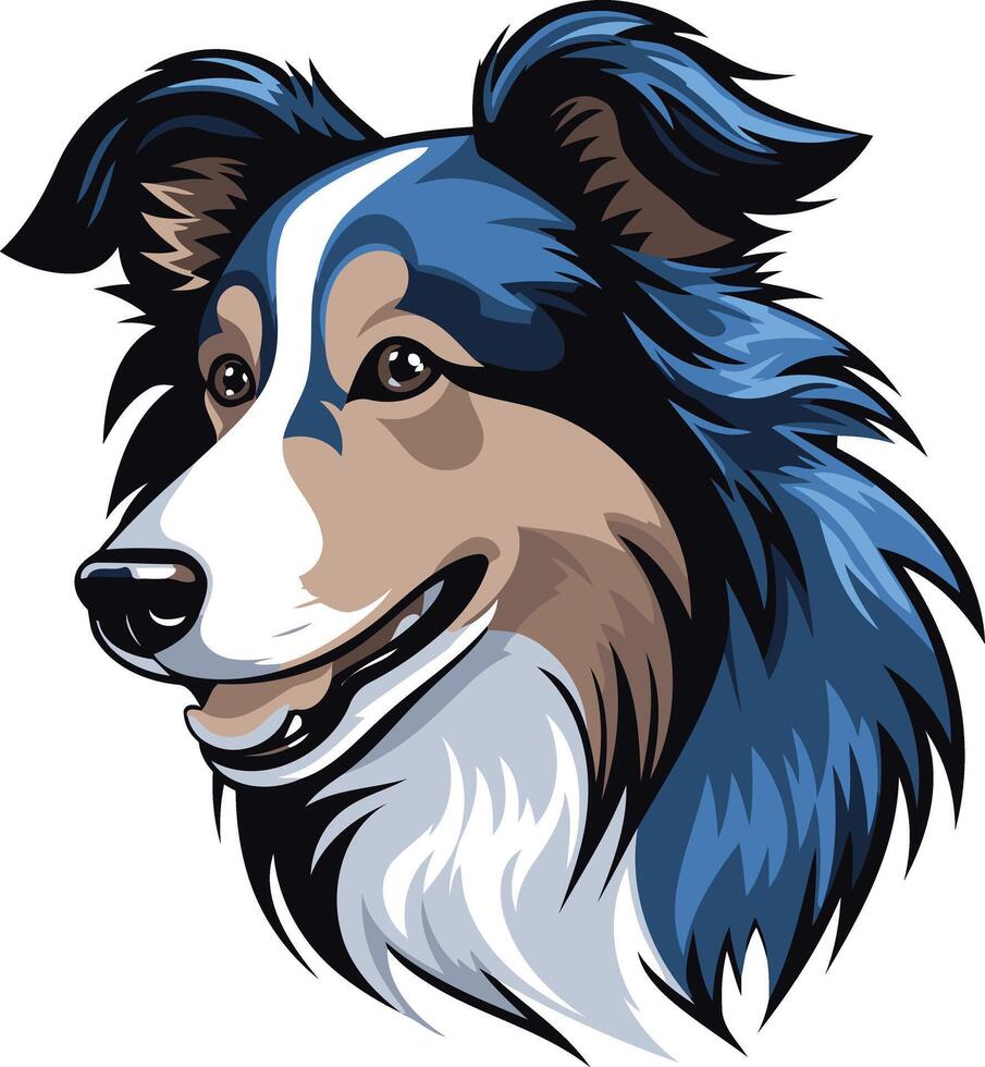 Blue Merle Collie Portrait vector