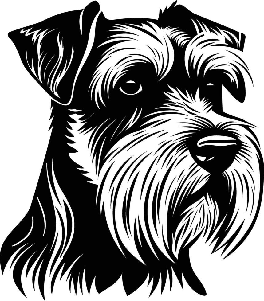 A striking black and white illustration of a miniature schnauzer, showcasing its distinctive facial features and fluffy fur vector