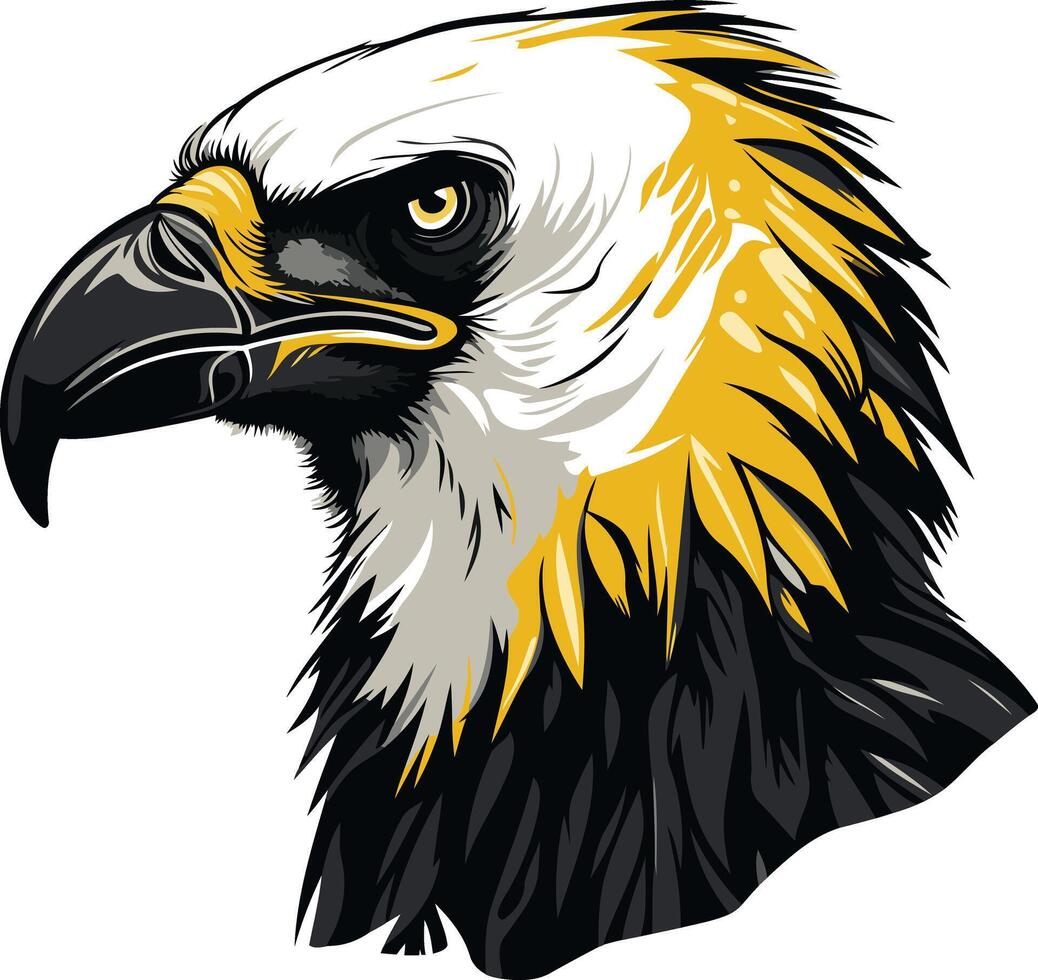 Close Up Illustration of an Eagle's Head vector