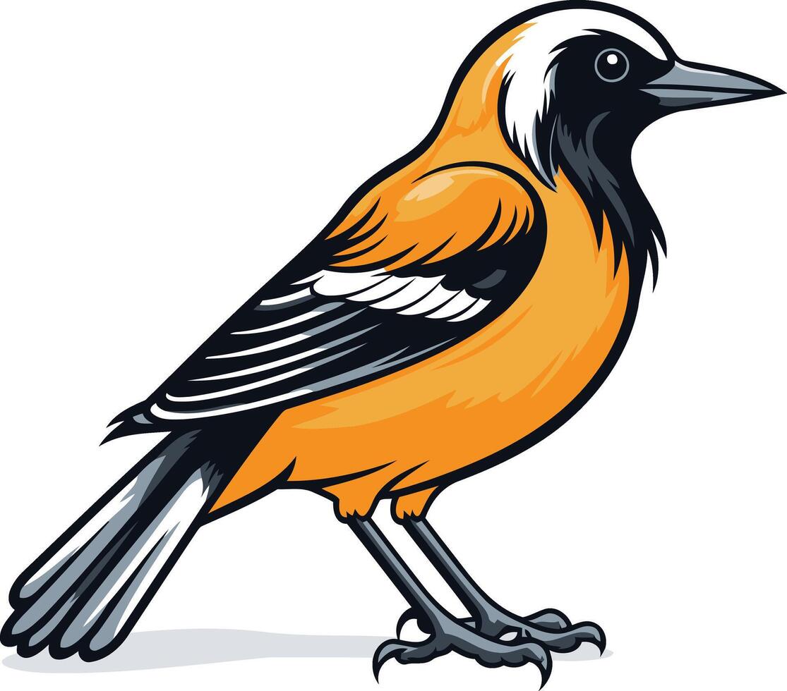 Illustration of a Colorful Bird vector