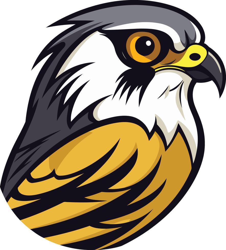 Fierce Close Up of a Hawk vector
