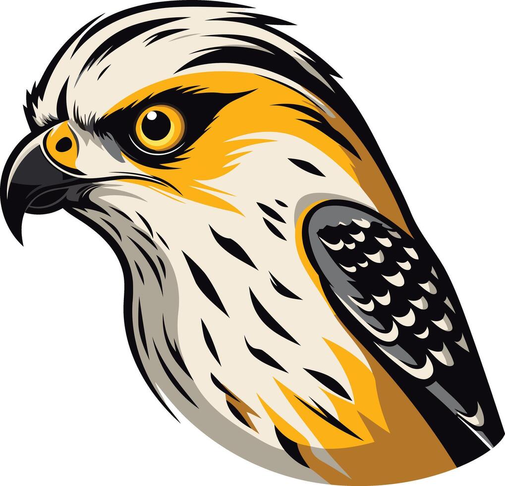 Illustration of a Hawk with Yellow and Black Feathers vector