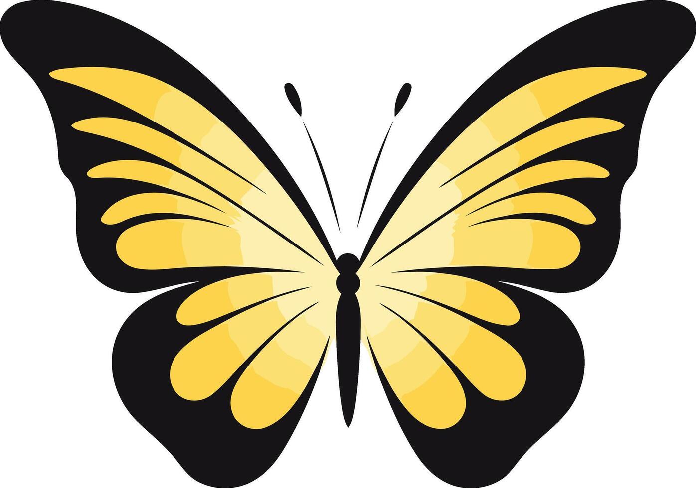 Yellow Butterfly with Black Borders vector