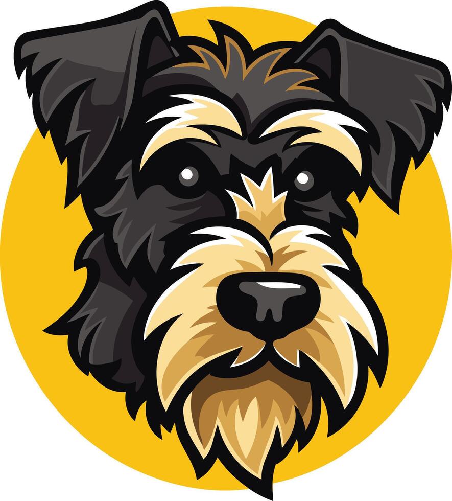 Close Up Portrait of a Black and Tan Miniature Schnauzer vector