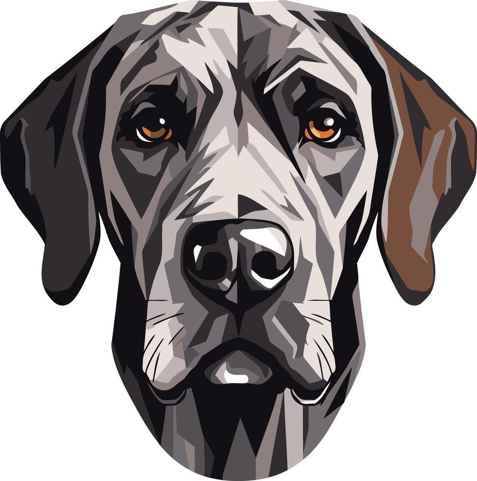 Portrait of a Great Dane Dog vector