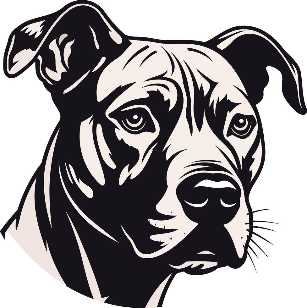 Close Up Portrait of a Dog vector