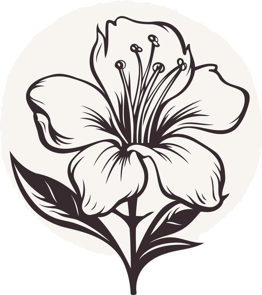 Black and White Flower Illustration vector