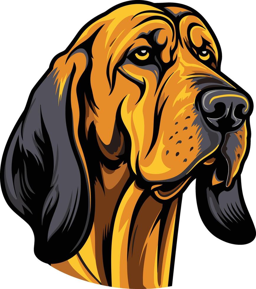 Close up Portrait of a Bloodhound vector