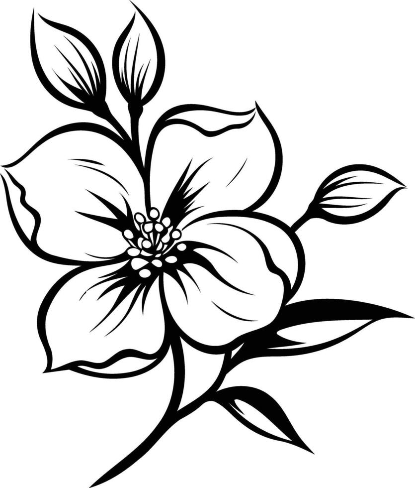 Elegant black and white line drawing of a delicate flower with intricate details vector