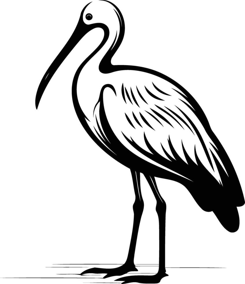 Black and white illustration of a stylized ibis bird vector