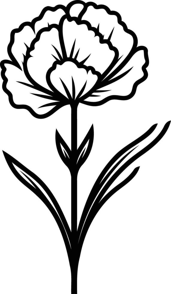 Simple line art illustration of a carnation flower vector