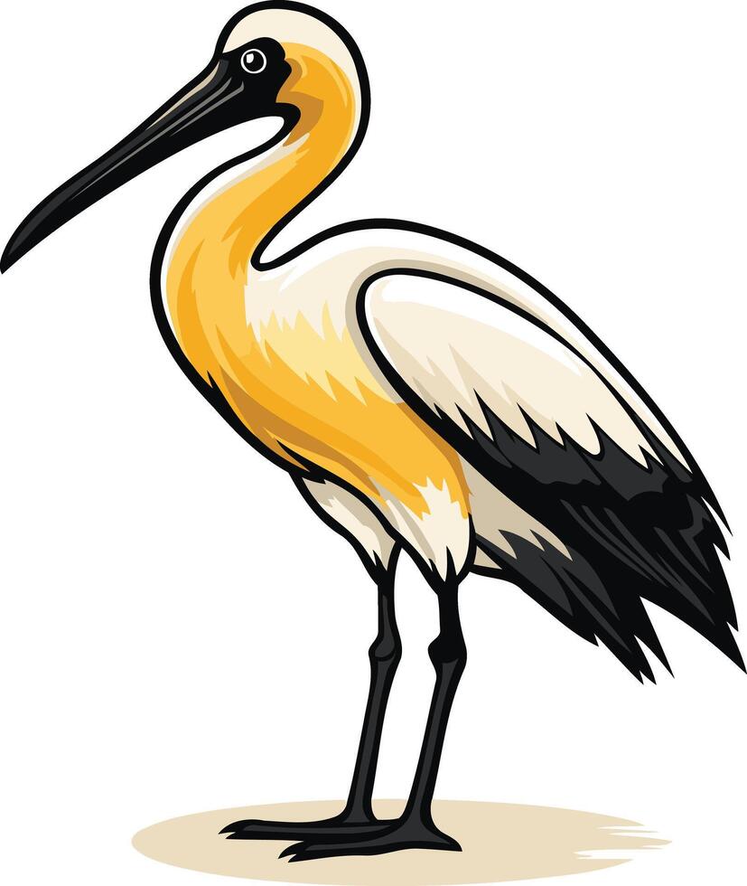 Illustration of a Yellow billed Spoonbill vector