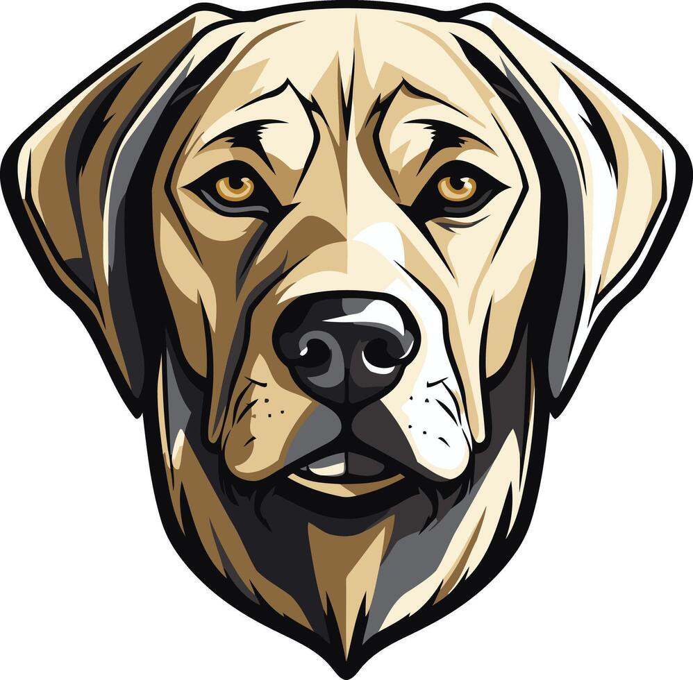 Portrait of a Labrador Retriever vector