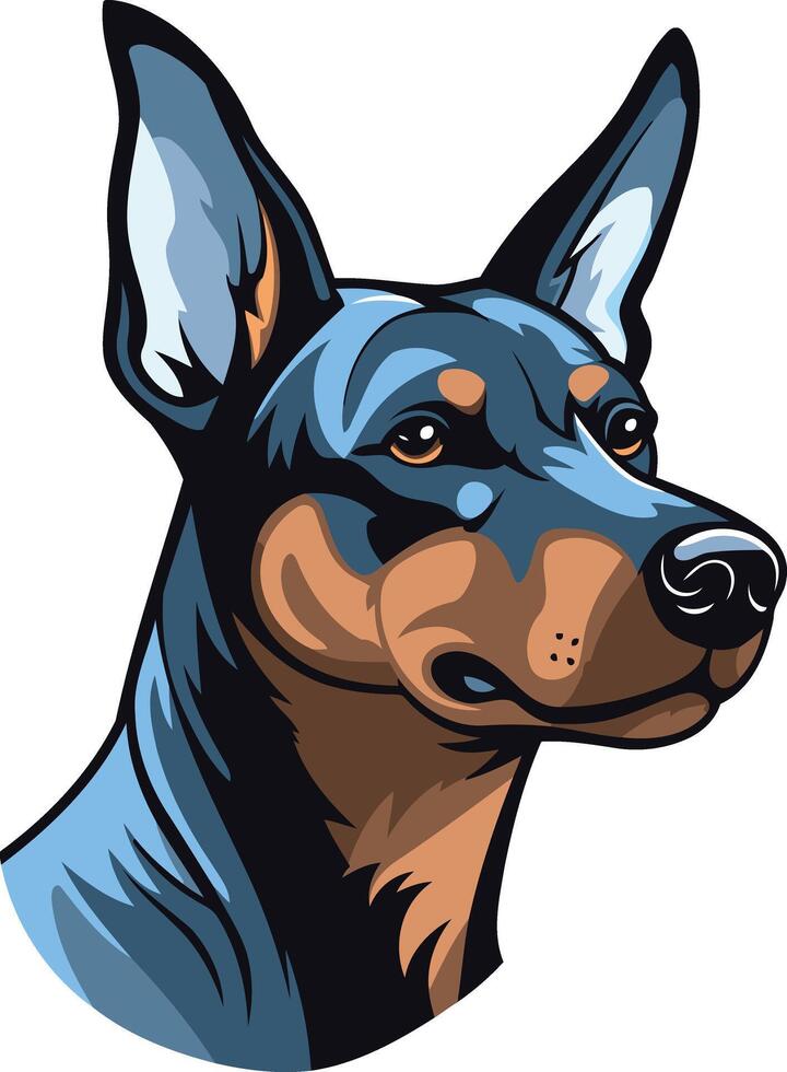 Portrait of a Doberman Pinscher vector