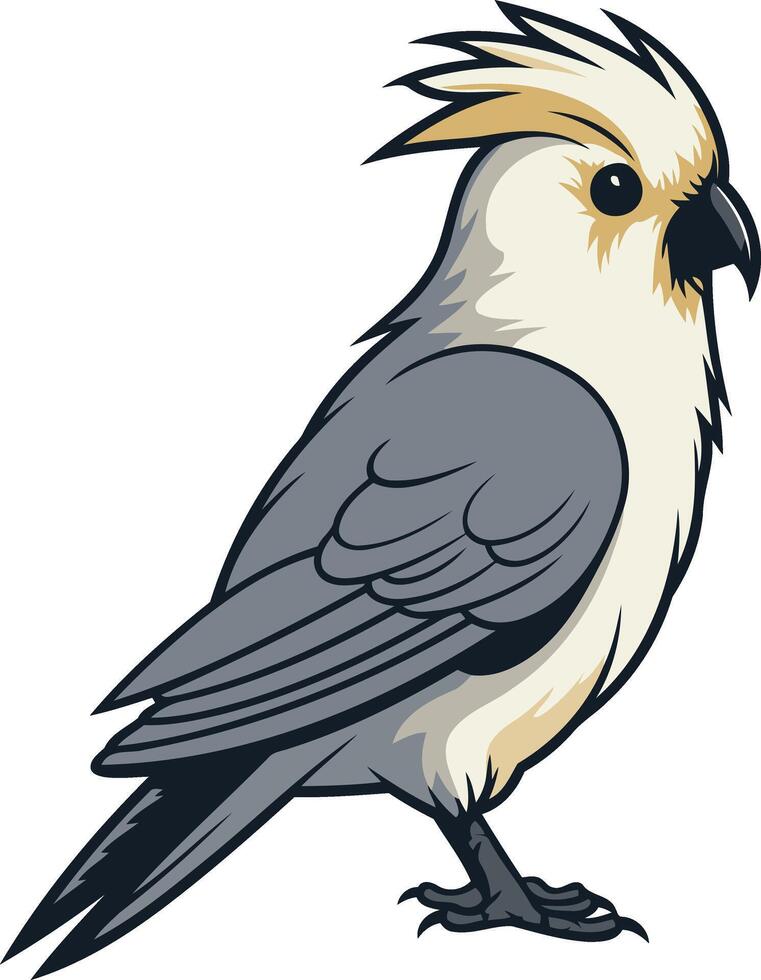 Illustration of a Grey and White Bird vector