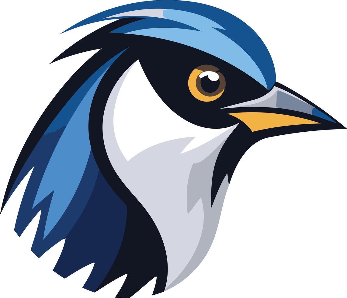 Blue Jay Head Illustration vector