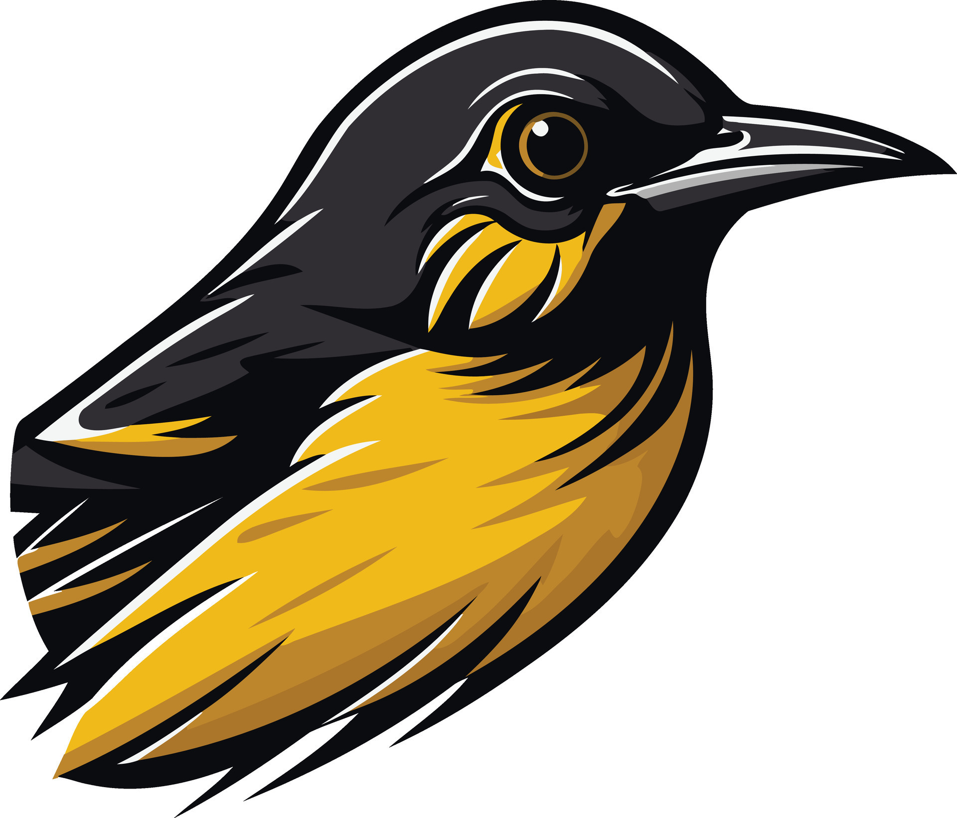 Yellow Breasted Bird Portrait 49256759 Vector Art at Vecteezy