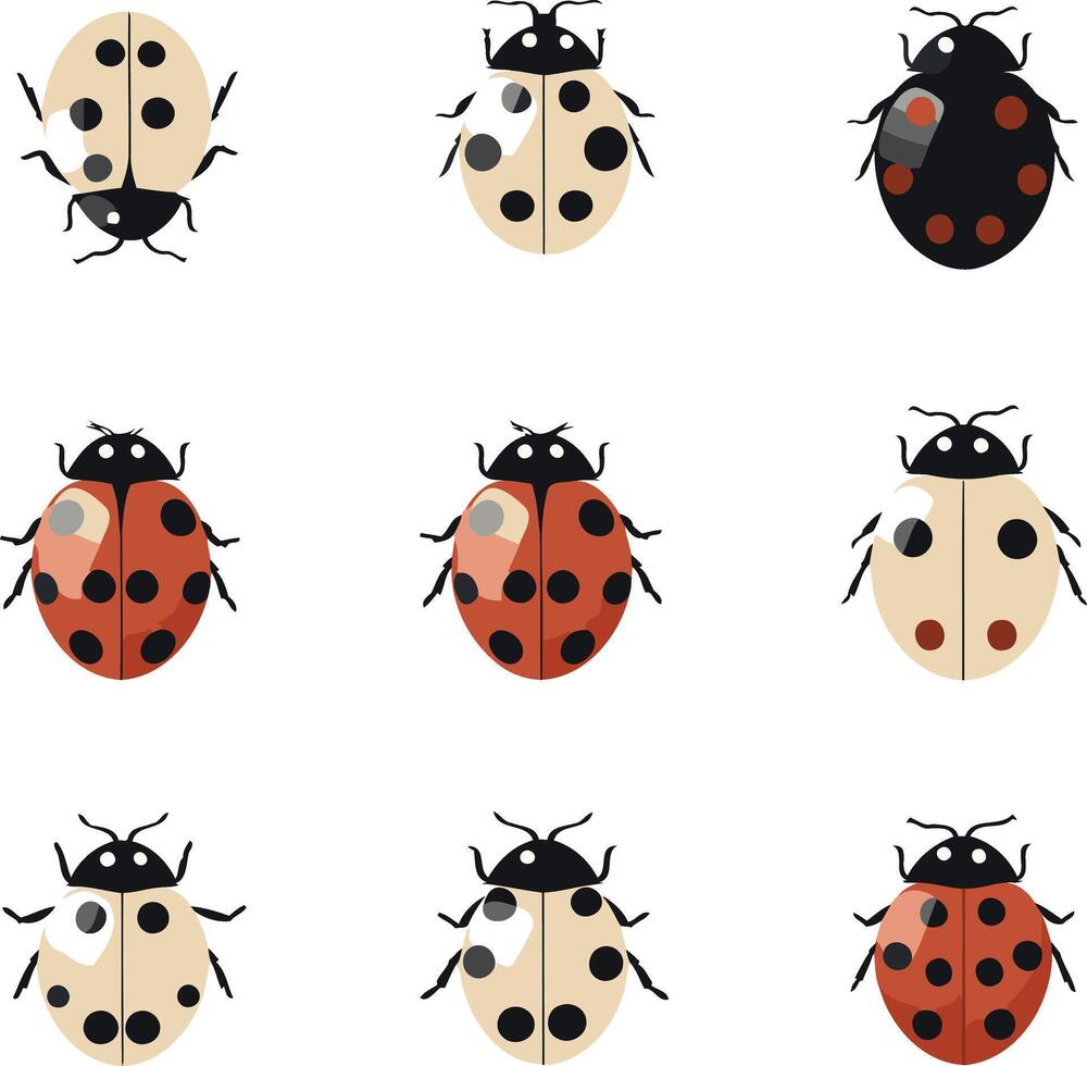 Nine Variations of Ladybugs vector