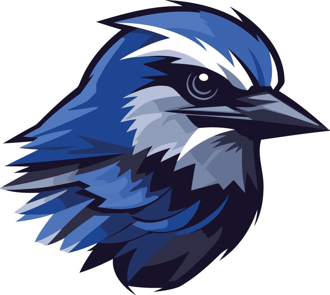 Blue Jay Head Illustration vector