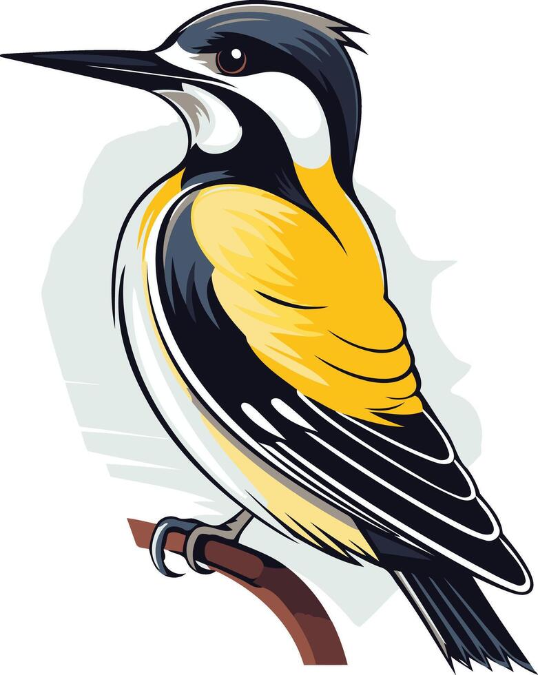 Illustration of a Yellow Bellied Woodpecker vector