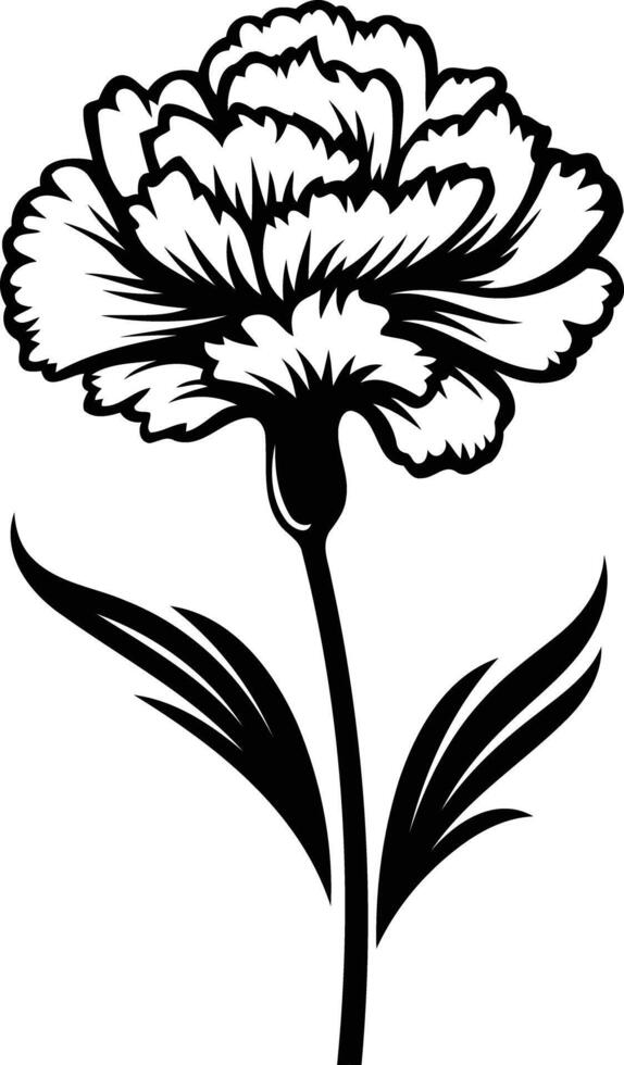 Elegant black and white illustration of a single carnation flower with delicate leaves vector