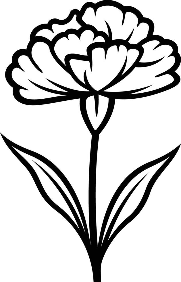 Simple, elegant black and white line drawing of a carnation flower vector