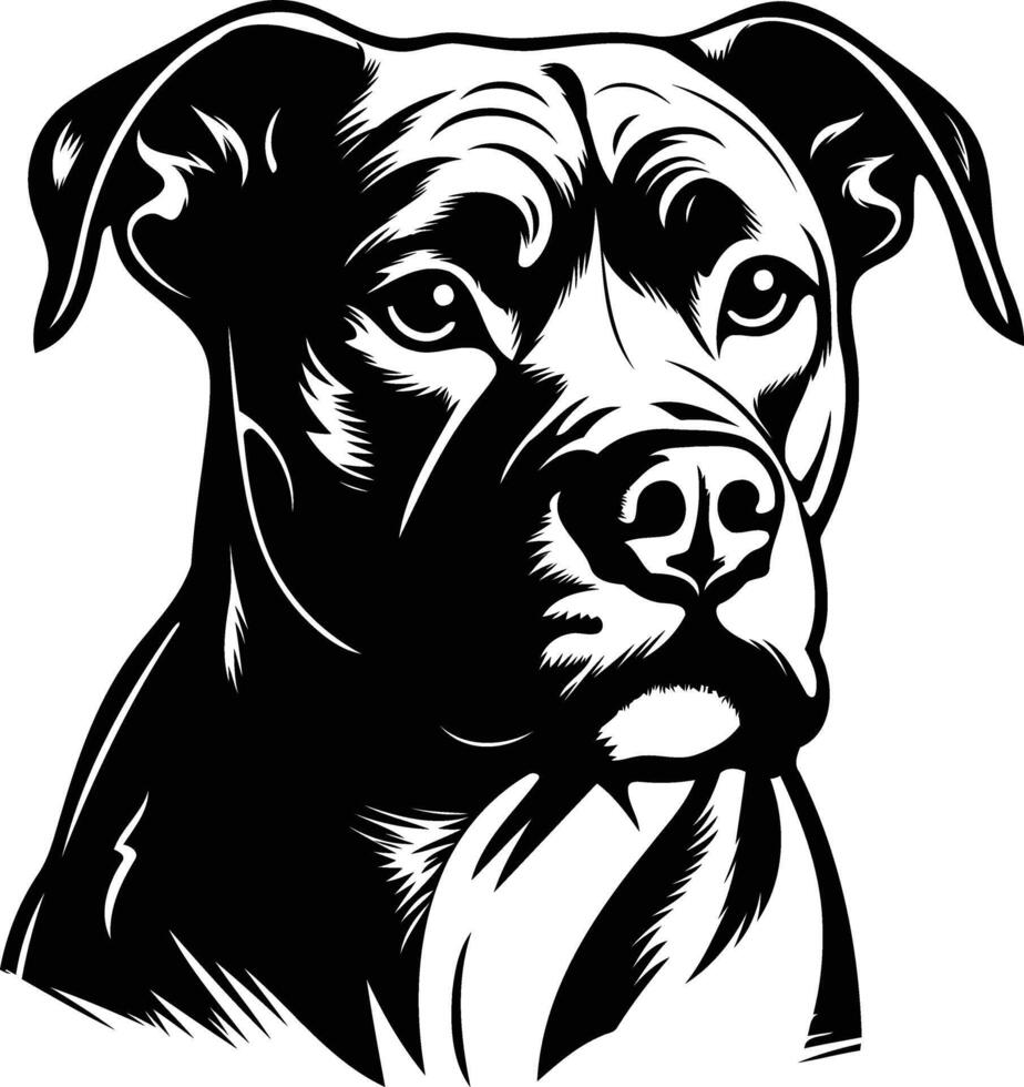 A bold and striking black and white illustration of a pit bull's head, ideal for designs that need a strong and powerful canine presence vector