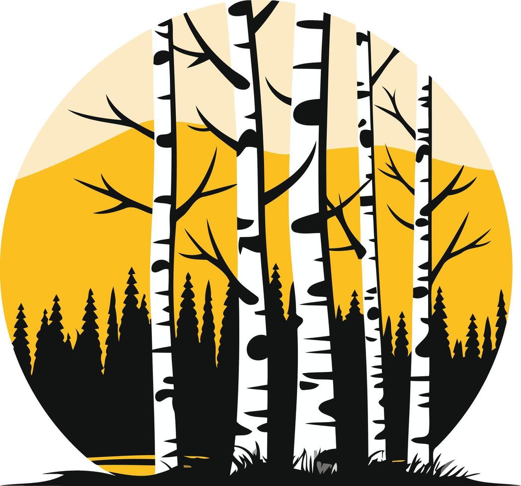 Birch Trees in a Golden Sunset vector