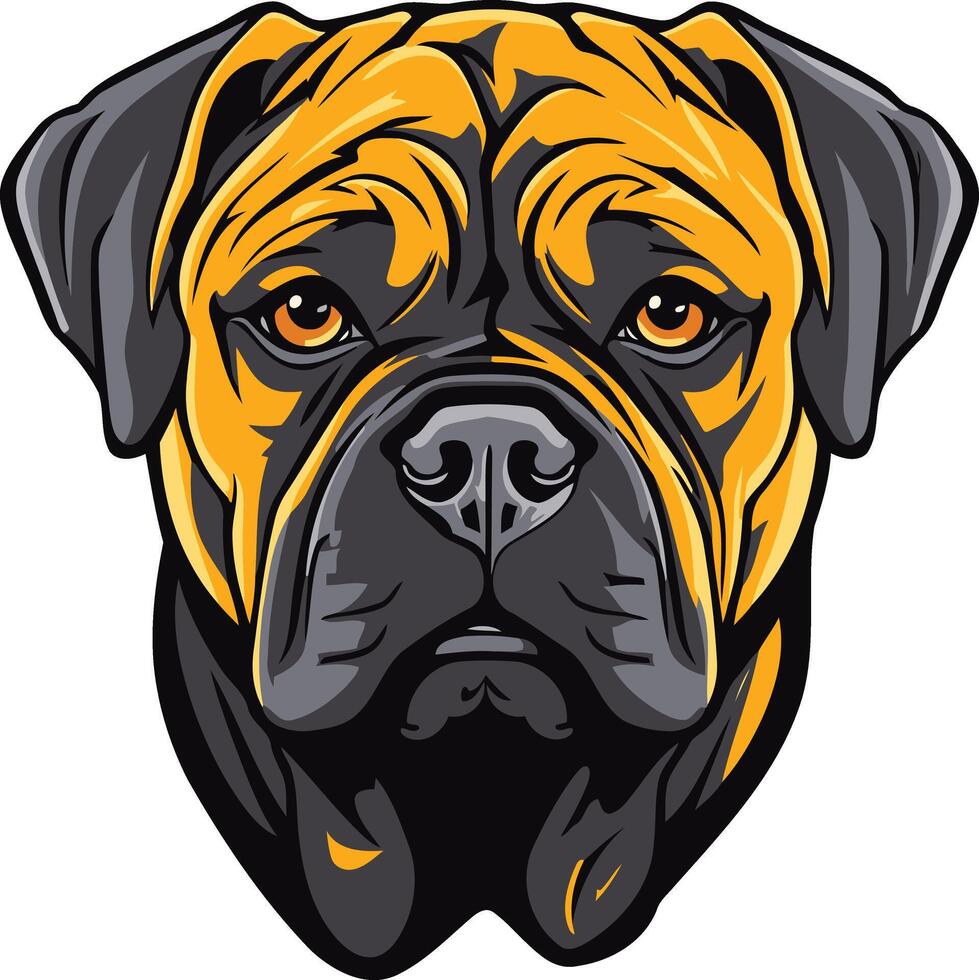 Close Up Portrait of a Bullmastiff vector
