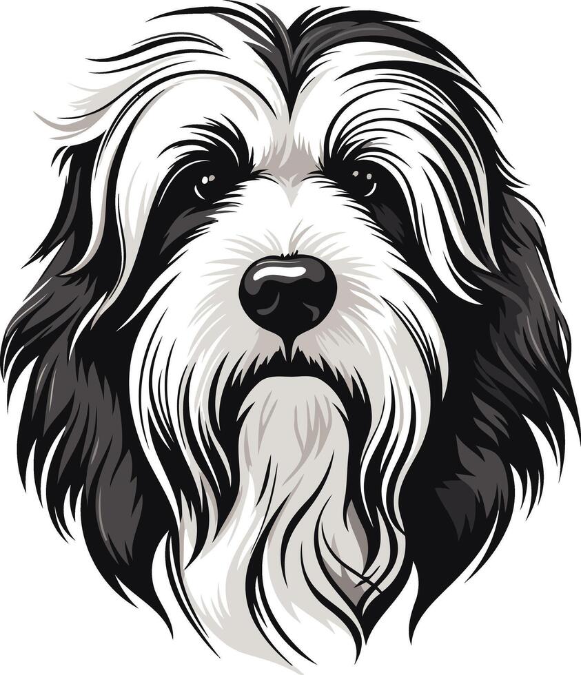 Black and White Illustration of a Bearded Collie vector