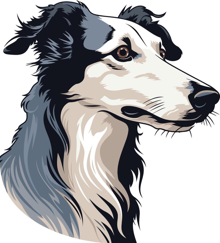 Portrait of a Russian Greyhound Dog vector